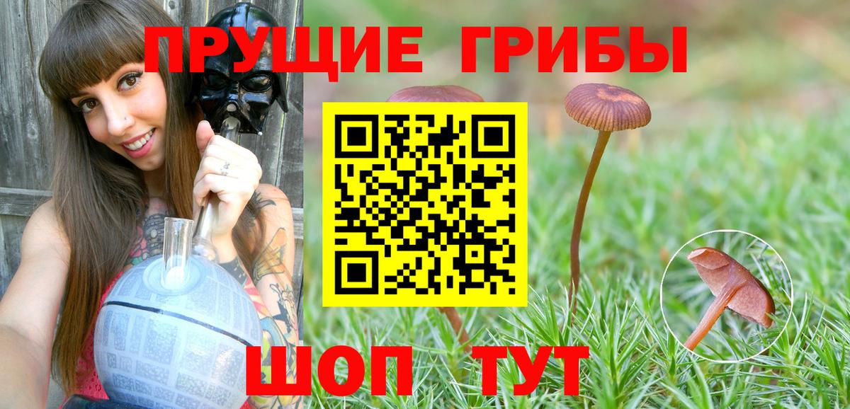 Богородицк  Галлюциногенные грибы ЛСД  Вход с VPN 